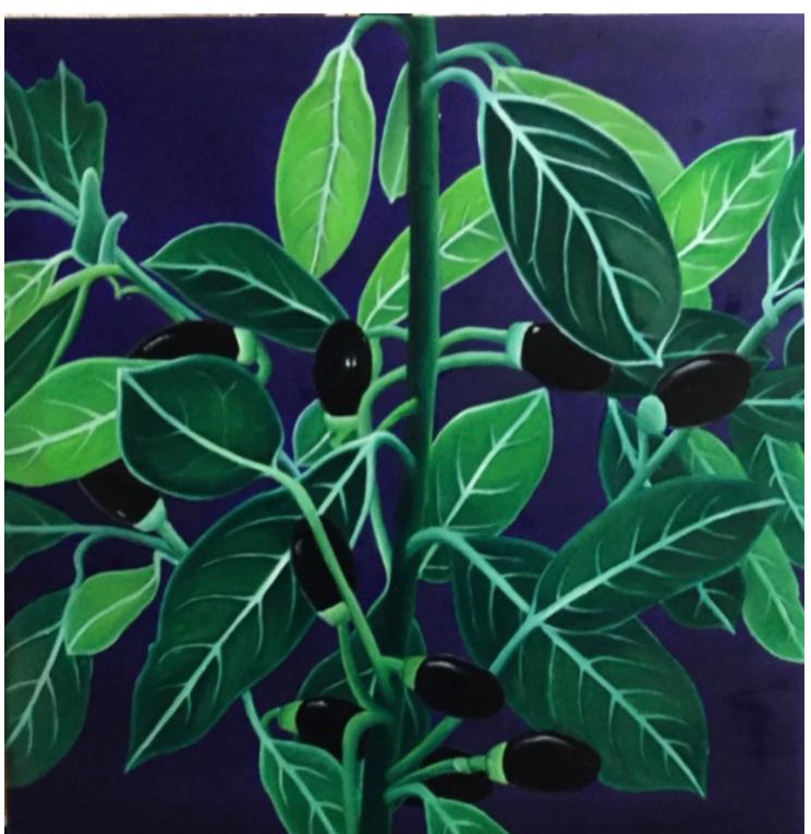 Bente Christensen-Ernst Denmark/Turkey ∙ Daphne 2016